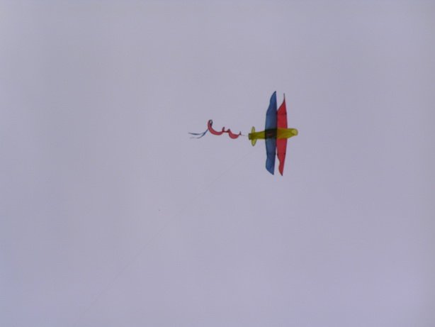 pa060088